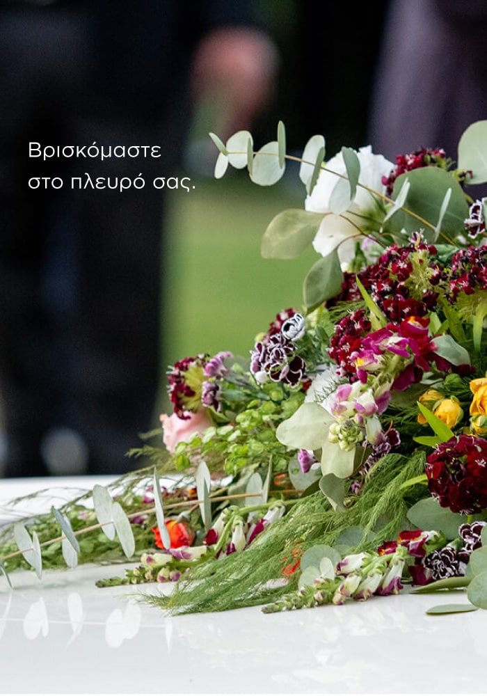Kitantis_banner_02_700