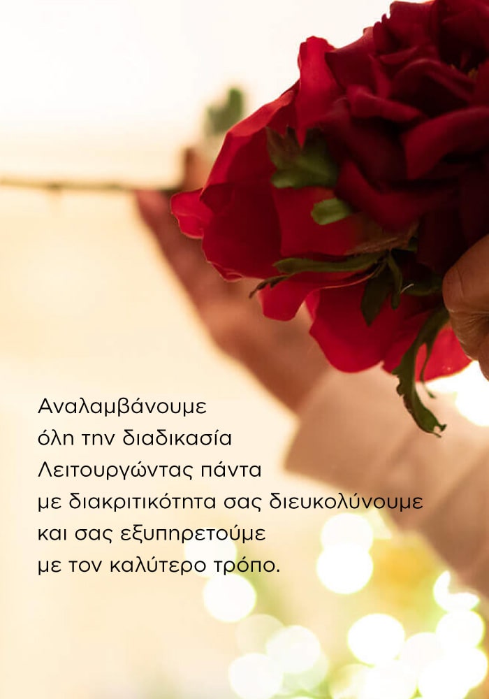 Kitantis_banner_03_700